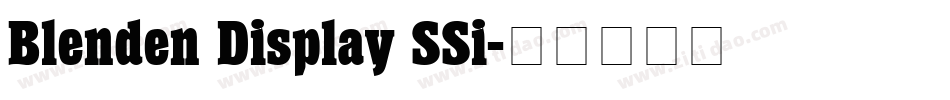 Blenden Display SSi字体转换